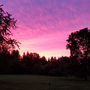 Meet your Posher, Donald